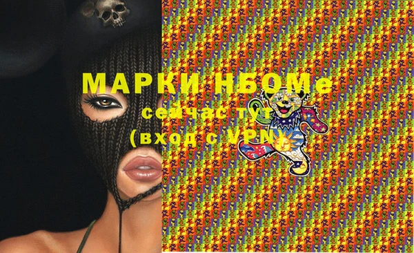 соль ск Вяземский