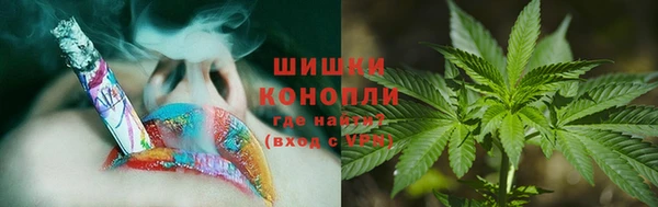 соль ск Вяземский