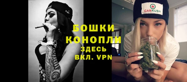 соль ск Вяземский