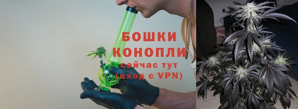 соль ск Вяземский