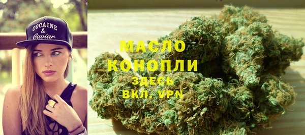 соль ск Вяземский