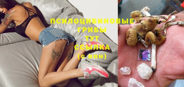 соль ск Вяземский