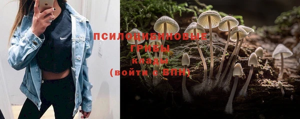 круглые Вязники