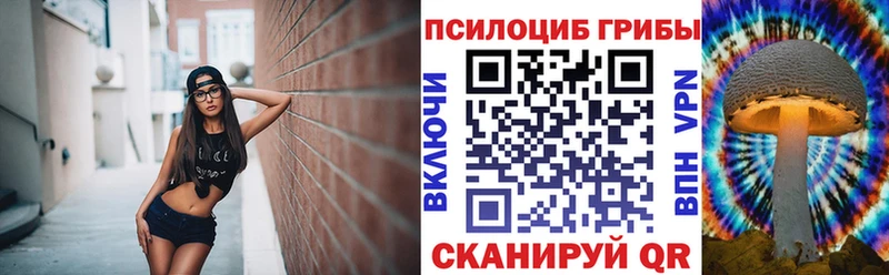 Галлюциногенные грибы Cubensis Ачинск