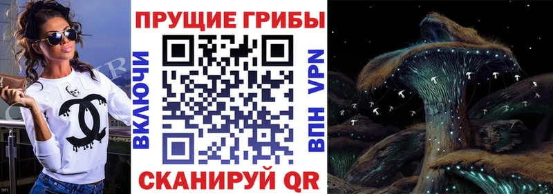 blacksprut ONION  Ачинск  Псилоцибиновые грибы мухоморы 